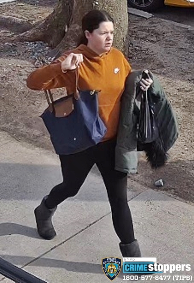 용의자는 공개 수배 이틀 만인 21일 경찰에 체포됐다. 뉴욕시경에 따르면 범인은 사건 현장과 불과 500m 떨어진 곳에 사는 크리스티나 달링(21)이었다. 뉴욕시 브루클린 지방검찰은 그를 17세 미만 아동학대, 위협, 증오범죄 혐의로 기소했다.