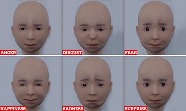 니콜라는 인간의 6가지 기본 감정인 행복과 슬픔, 두려움, 분노, 놀람, 혐오를 얼굴에 나타낸다.표정은 분노·혐오·공포·행복·슬픔·놀라움 순.(사진=이화학연구소)