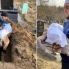 “아가!” 겨우 생후 40일, 전쟁통에 하늘로…우크라 어린이 희생 어쩌나