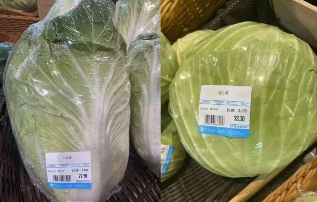 상하이 중심가 마트에 진열된 배추.(출처 웨이보)