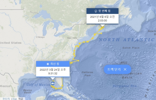 스콧은 관찰 119일 만에 무려 6290㎞ 이상을 남쪽으로 내려와 미 동해안 앞바다에 도착했다. 지난달 14일에는 플로리다 키스 제도와 멕시코만까지 내려와 주변을 헤엄쳤다.