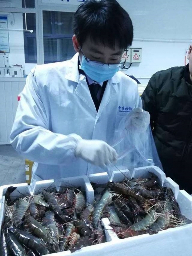 중국 상하이시의 한 수산물 시장에서 가져온 새우를 상대로 PCR 검사를 하는 방역 전문가의 모습