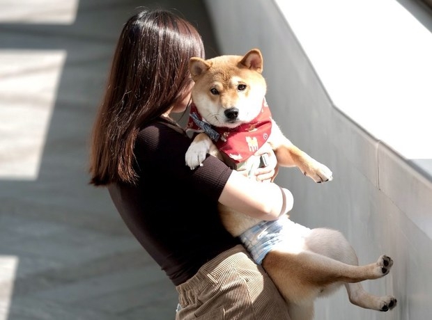 반려견을 품에 안고 있는 여성의 모습.(사진=웨이보)