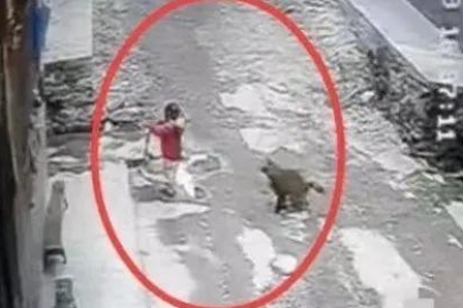 thumbnail - 주택가 3세女 머리채 끌고가...CCTV 속 범인은 굶주린 원숭이?