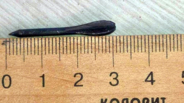 이리나 베네딕토바 우크라이나 검찰총장은 “30일 오전 7시 30분쯤, 러시아군이 수미 지역 마을에 플레셰트로 가득 찬 포탄을 뿌렸다”라고 설명했다. 실제로 이날 러시아와 국경을 맞대고 있는 수미주 쇼스트카시에선 3㎝ 안팎의 쇠화살이 무더기로 발견됐다./출처=이리나 베네딕토바 우크라이나 검찰총장