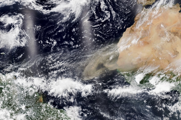 지난 3일 NOAA-20 위성이 촬영한 사하라 사막 먼지의 모습. 사진=NASA