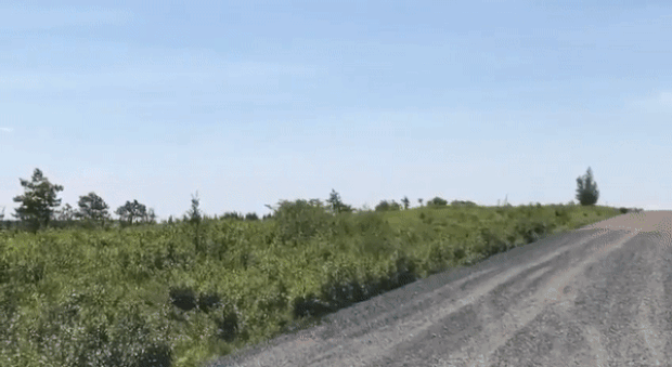 우크라이나군이 남부 헤르손 안토노우스키 다리를 향해 로켓탄을 발사하고 있다.