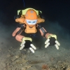 [핵잼 사이언스] 해저 1㎞까지 잠수…美 ‘인간형 수중로봇’ 등장