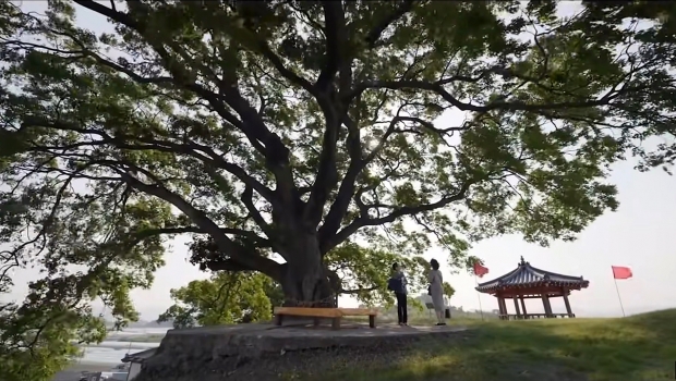 드라마 속 소덕동 팽나무는 경상남도 창원시 의창구 대산면 북부리 마을 에 있는 수령 500년 된 팽나무다. <출처: ENA>