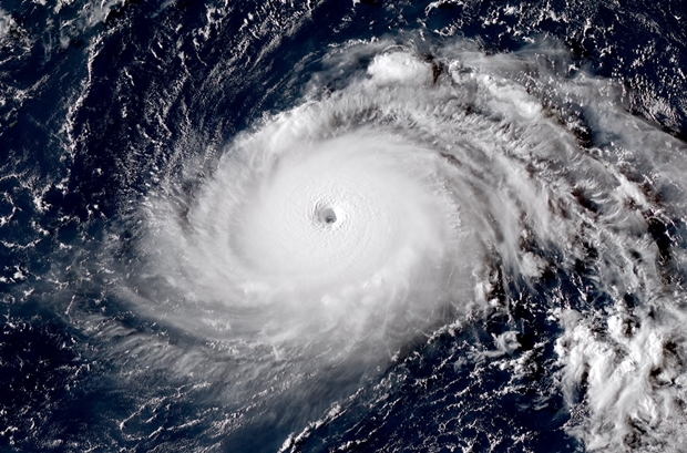 출처=Himawari-8 500m True Color