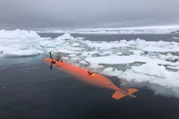 조사는 지난 2019년 스웨이츠 빙하 앞쪽 해저 700m 아래 지형을 고해상도 이미지로 여러 차례 찍어 지도화(매핑)하는 방식으로 이뤄졌다. / 사진=예테보리대