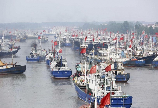 중국 대규모 선단 자료사진