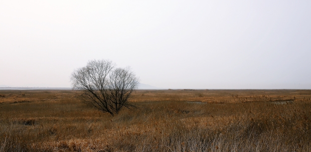 경기 화성 우음도.