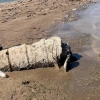 최악 가뭄에 물 빠지자..美 미드호서 신원불명 6번째 유해 ‘쑥’