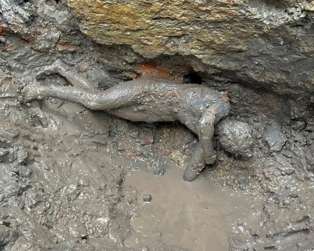 3일(현지시각) 이탈리아 문화부 공보실이 공개한 산 카시아노 데이 바니에서 발굴된 고대 청동 조각상 24점 중 하나. /AP 연합뉴스