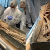 노트르담 대성당 지하서 발견된 미스터리 석관…유골 정체 밝혀졌다