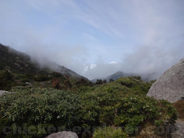 일본 규슈 미야노우라다케(宮之浦岳) 등산에 나섰던 30대 한국인 남성이 입산 후 수일이 지나도록 연락이 두절되는 등 실종 가능성이 제기됐다. 출처 웨이보 일본 규슈 미야노우라다케(宮之浦岳) 등산에 나섰던 30대 한국인 남성이 입산 후 수일이 지나도록 연락이 두절되는 등 실종 가능성이 제기됐다. 출처 웨이보