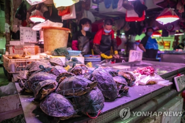 2020년 5월 중국 광둥성 광저우의 시장 EPA 연합뉴스