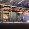 비행기보다 커…英 박물관서 지상 최대 공룡 전시