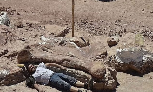 파타고티탄 마요룸은 중생대 백악기인 약 1억년 전 지구상에 서식했던, 거대한 몸집에 목이 긴 티타노사우루스속 초식공룡으로 몸체 길이 37m, 몸체 높이 6m, 생존 당시 체중은 70t에 달했을 것으로 추정된다. / 사진=에지디오 페루글리오 고생물학 박물관