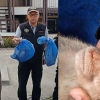중국 의약품에 쓰려고…태국서 밀반출 원숭이 47마리 구조 [여기는 동남아]