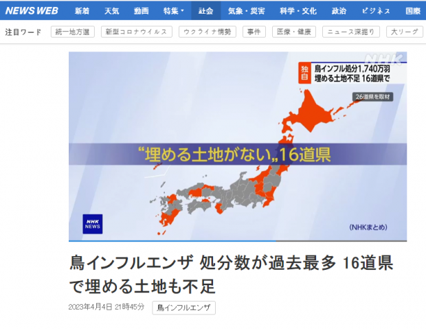 일본 내 조류 인플루엔자(AI) 발생 심각성을 담은 NHK 5일자 보도 캡처