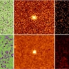 해왕성 주변 희귀한 ‘붉은 소행성’이 초기 태양계 비밀 밝힌다 [우주를 보다]