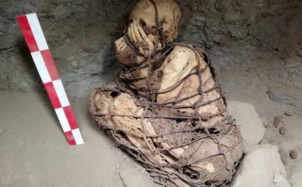 지난 2021년 11월 발굴된 밧줄로 몸이 꽁꽁 묶여있는 젊은 남성의 미라