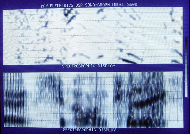 음성분석기를 통해 분석된 음성