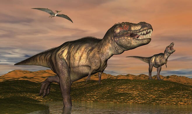 육식공룡 티라노사우루스, 지구에 17억 마리 살았다 [핵잼 사이언스]