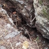 중국판 ‘개구리소년’…실종 13년 만에 백골로 야산서 발견