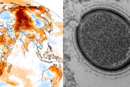 시베리아 40°c 폭염...영구동토층 ‘좀비 바이러스’ 깨어나나? [핵잼 사이언스]