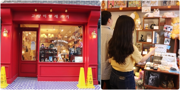 빨간색 페인팅이 매력적인 고양이 알레르기. 고양이 집사들이 즐겨찾는 고양이 알레르기에서 연인들이 소품을 구경하고 있다.
