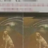 반려견 찾아주면 18억 준다더니…소액 주고 입닦은 견주 [여기는 중국]