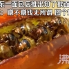 노랗게 구운 中 ‘황금매미 빵’…고단백질 덩어리 인기 [여기는 중국]