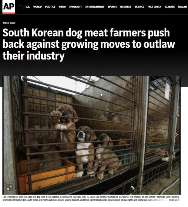 AP통신 31일자 보도 캡처