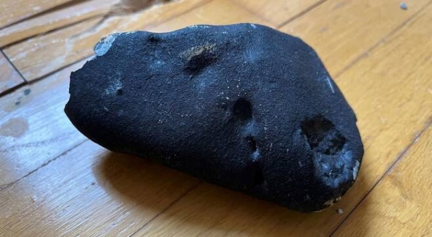 운석의 모습. 자료사진