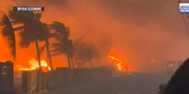 하와이 산불 현장