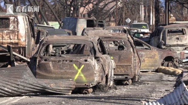 차량 등에 표시된‘X’는 하와이주 당국이 아직 신원 확인이 안 된 희생자 다수의 시신이 매장된 것을 구조대에 알리기 위해 한 표식으로 알려졌다.사진: 웨이보