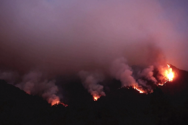 스페인 카나리아 제도의 유명 휴양지인 테네리페섬에서 수십 년 만에 최악의 산불이 발생해 주민과 관광객 약 2만 6000명이 대피했다 로이터 영상 캡처