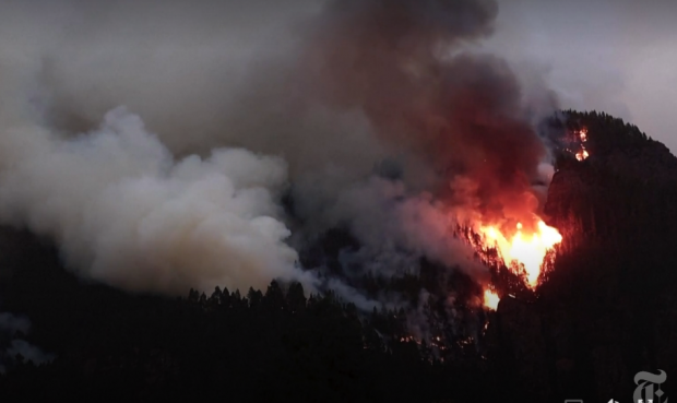 스페인 카나리아 제도의 유명 휴양지인 테네리페섬에서 수십 년 만에 최악의 산불이 발생해 주민과 관광객 약 2만 6000명이 대피했다 로이터 영상 캡처
