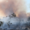 심각한 기후위기…폭염에 산불 이어져 베트남 푸른 숲 황폐해져 [여기는 베트남]