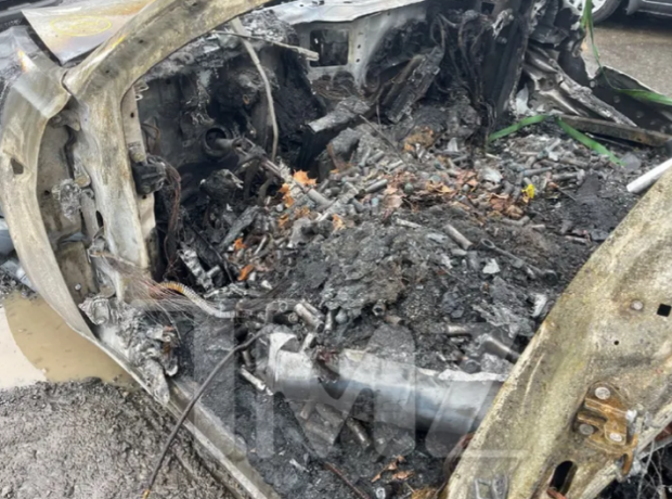 지난해 3월 12일 오전 11시경, 한인 남성 A씨(하고 당시 46세)는 뉴욕주 인근 고속도로에서 테슬라 모델3를 운전하다가 중앙분리대의 나무와 충돌하는 사고를 당했다. 이후 해당 테슬라는 ‘열 폭주’ 현상을 일으켜 화염에 휩싸였고, 운전자는 현장에서 숨진 채 발견됐다. TMZ 제공2