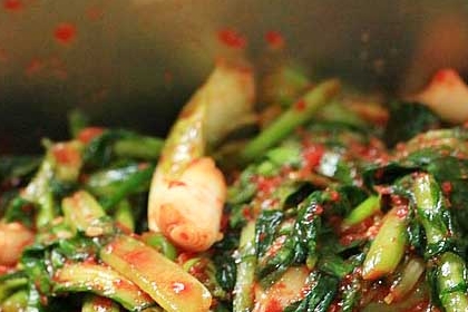 면역력 저하를 막아주는 ‘열무’…여름철 입맛을 돋궈줄 열무국수 만들기 [냠냠 도서관]   