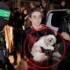 [포착] 개도 하마스 인질?…반려견과 함께 풀려난 17세 소녀