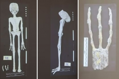 길쭉한 머리·손가락 3개 ‘외계인 시신’의 정체 밝혀졌다[포착]