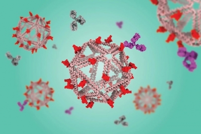 바이러스 모방한 DNA로 백신 만든다 [와우! 과학]