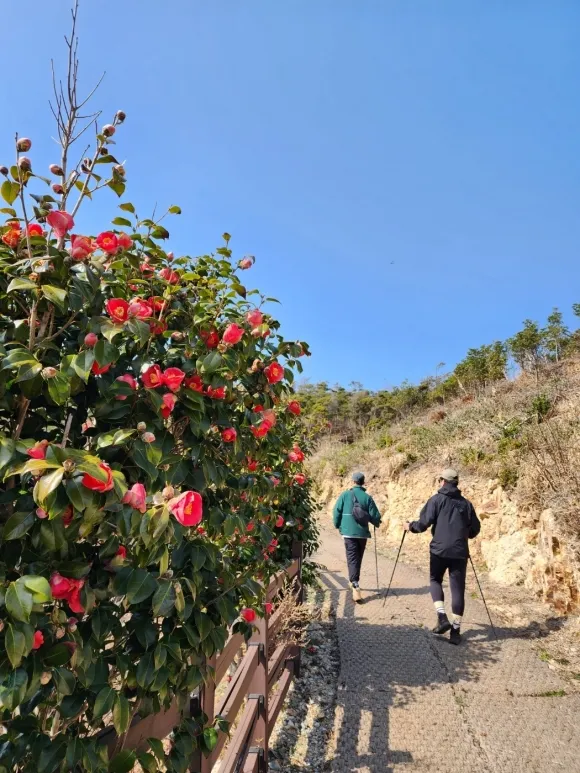 추자도 올레는 기존에 18-1코스로만 개장한 뒤 2022년 6월 추가로 18-2코스를 개장했다. 숨겨진 아름다움을 더 볼 수 있게 되었으며 많은 사람에게 사랑받는 올레꾼의 성지다.