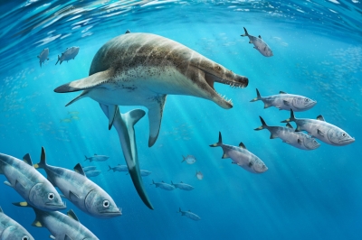 “단검 같은 이빨”…8m ‘고대 바다도마뱀’ 화석 발견 [다이노+]