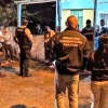 남미 10개국 수사공조, 아동성착취물 피해자 10명 구출 [여기는 남미]
